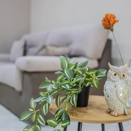 Victoria Oda ve Kahvaltı 3*